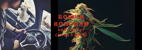 ешки Арсеньев
