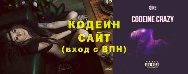 ешки Арсеньев