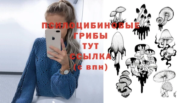 ешки Арсеньев