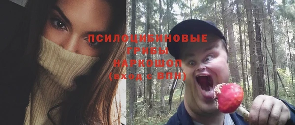 ешки Арсеньев