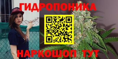 прущая мука Лесосибирск