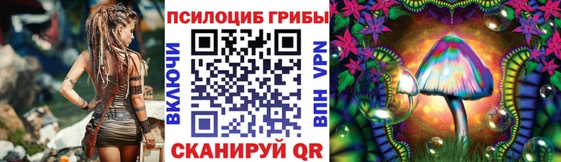 Галлюциногенные грибы Magic Shrooms  Калач-на-Дону 