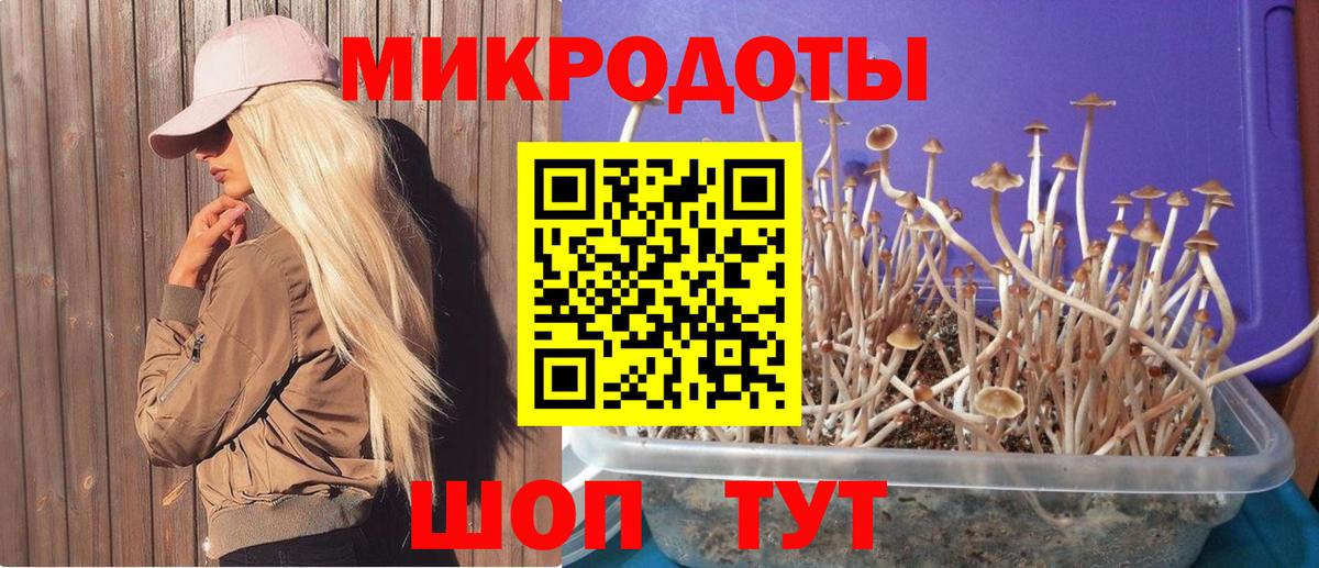 Галлюциногенные грибы мухоморы  Псилоцибиновые грибы мицелий  Калач-на-Дону  Вход с VPN 